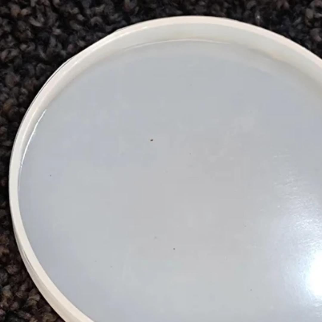 24 Inch Round Silicone Coaster Mould
