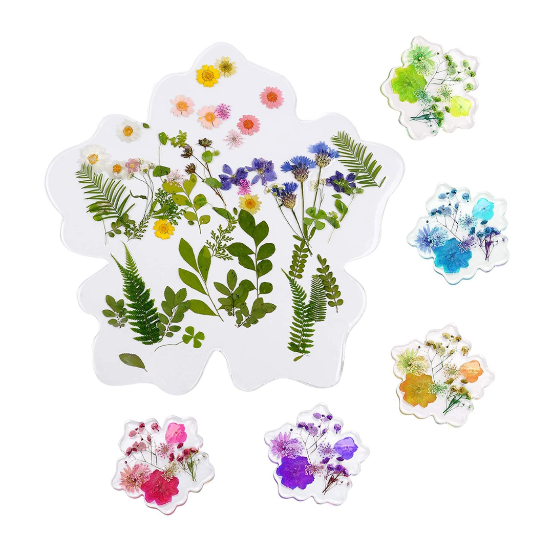 Flower Tray & Coaster Mould, Pack of 5