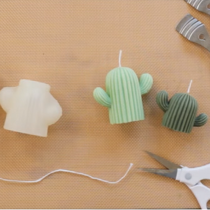 Silicone Candle Mould - Cactus Candle